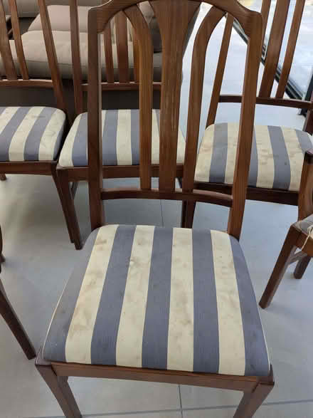 Photo of free 6 Dining room chairs (Chorleywood WD3) #2