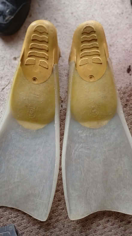 Photo of free Snorkeling Fins (flippers) (Berwick Grange SY1) #1