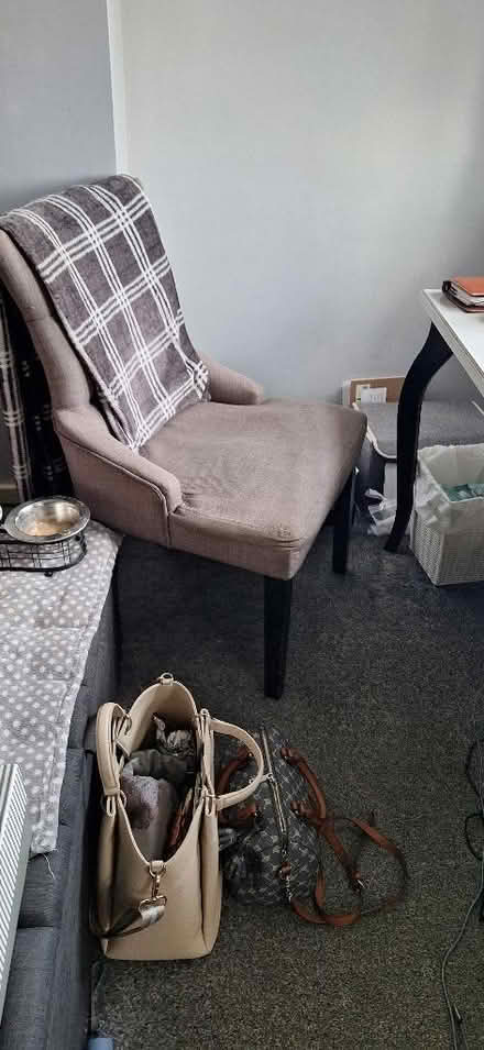 Photo of free Desk and chair (Lion Gate TW9) #1