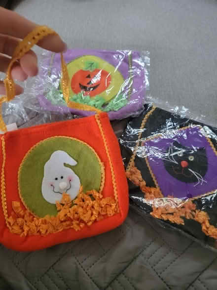 Photo of free Halloween bags (Melrose near Wyoming Cemetery.) #1