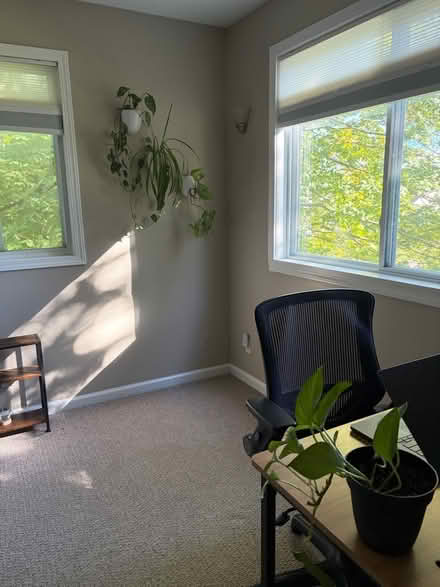 Photo of free House plants 🪴 (Near Seven Mile and Farmington) #4