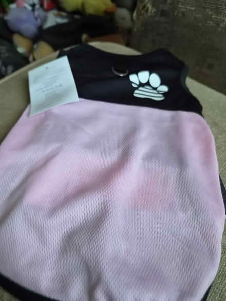 Photo of free Doggy vest (Little Carleton FY3) #1