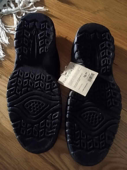 Photo of free Large size water shoes (Winchester) #2
