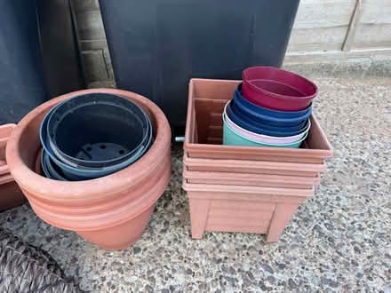 Photo of free Garden pots - mix selection (Shirley, Majors Green B90) #2