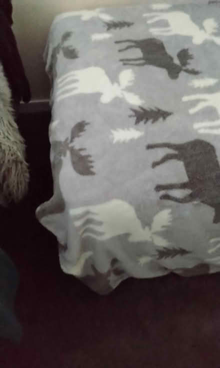 Photo of free Fleecy quilt (Spondon derby DE21) #2