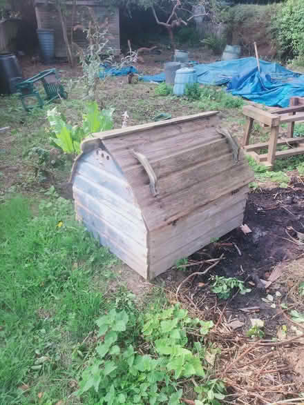 Photo of free Pair of chicken coops (Ninfield TN33) #3