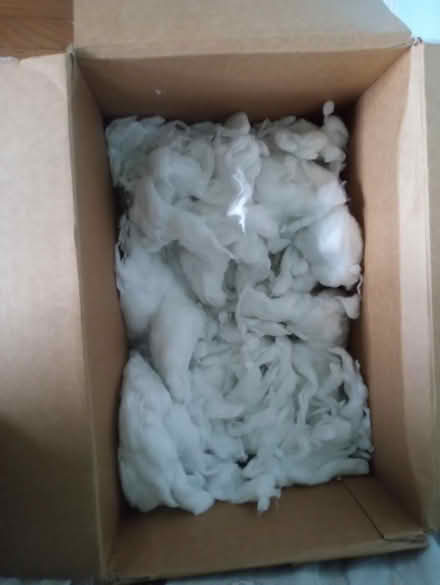Photo of free Box of Fluff (Town of LaGrange) #1