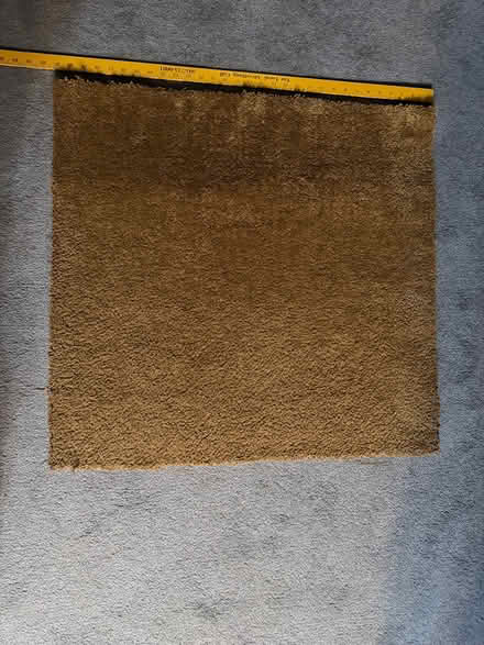 Photo of free Carpet scrap (Quincy and S Simms) #2