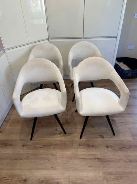 Photo of free 4 cream Boucle Dining Chairs (Barnack PE9 3) #1