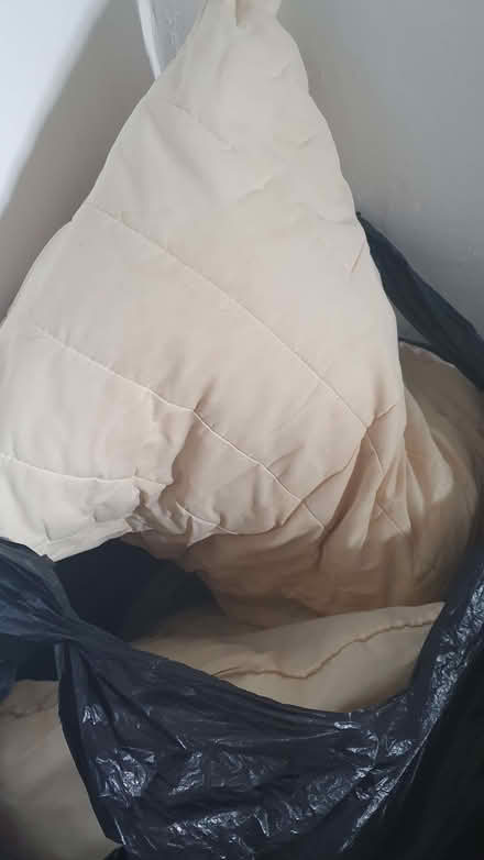Photo of free Pillows (Hanover BN2) #1