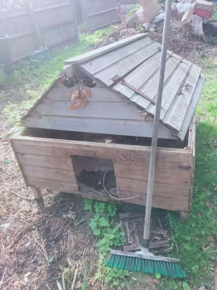 Photo of free Pair of wooden poultry houses (Ninfield TN33) #3