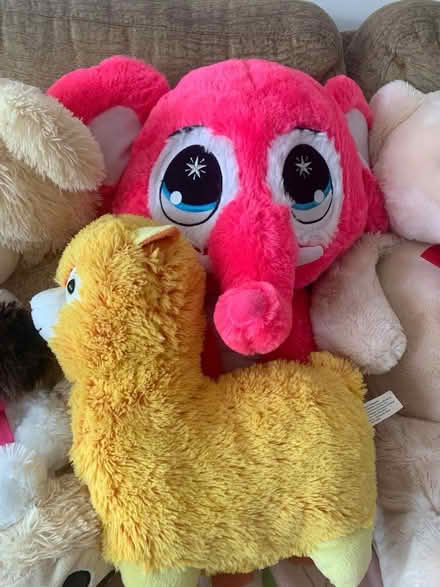 Photo of free Selection of large soft toys (Thorpe Marriot NR8) #3