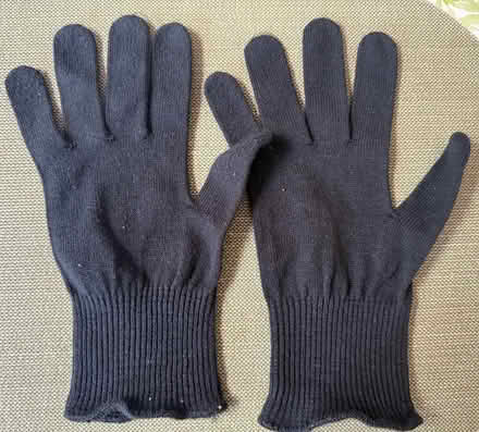 Photo of free Soft gloves (Terra Linda) #1