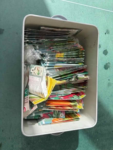 Photo of free Vegetable seeds expiry date 2022 (Limpley stoke BA2) #1
