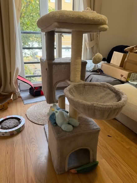 Photo of free Cat tree and some accessories (Deptford SE8) #2