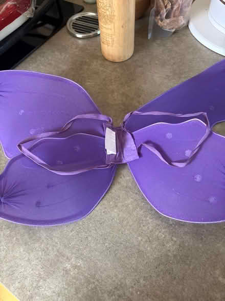 Photo of free Purple Butterfly or Fairy Wings (Providence Subdivision, Elgin) #4