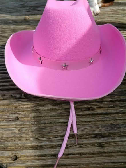 Photo of free Pink cowboy hat (Barry) #1