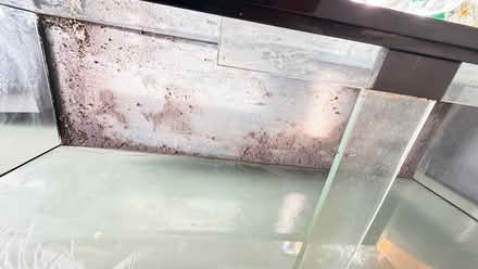 Photo of free Large fish tank on storage cupboard (Sharmans Cross B91) #3