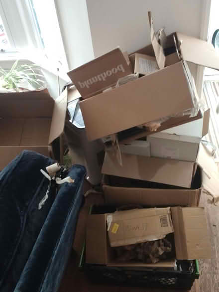 Photo of free Moving boxes, bubble wrap, etc (N17, Tottenham) #2