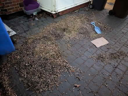 Photo of free Woodchip PLEASE READ UPDATE (S12 Gleadless Townend) #2
