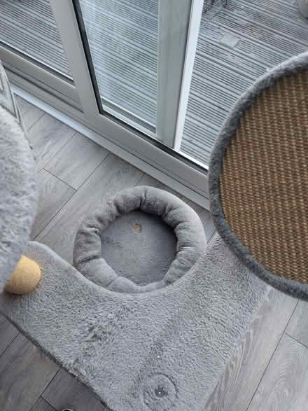 Photo of free Cat scratch post bed (Rise Park NG5) #2