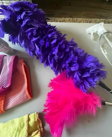 Photo of free Small Cleaning Bundle (HA8 / Edgware) #4