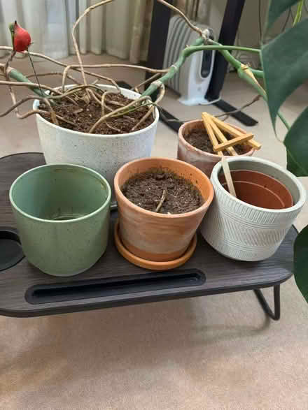Photo of free Ceramic pots for plants. (Oxford OX1) #1