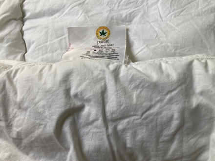 Photo of free Purest anti allergy single duvet (Bookham KT23) #2