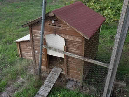 Photo of free Hen house / chicken coop (South Lopham IP22) #2