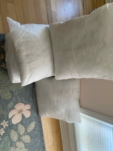 Photo of free New 20” poly fill cushion inserts (Pleasant Hill) #1