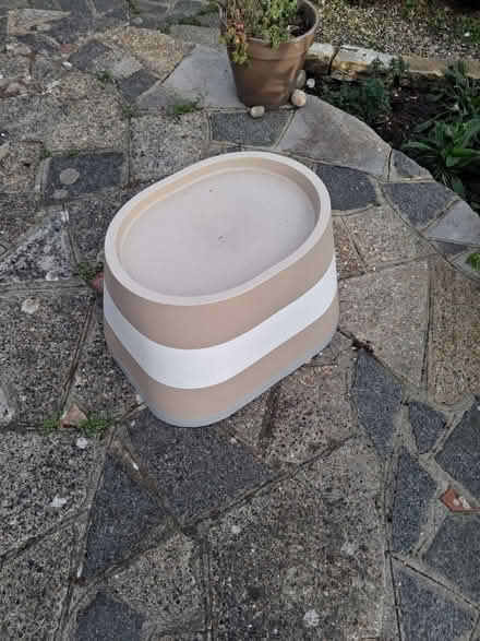 Photo of free Dog/Cat Kennel, Animal Shelter (Warsash SO31) #1