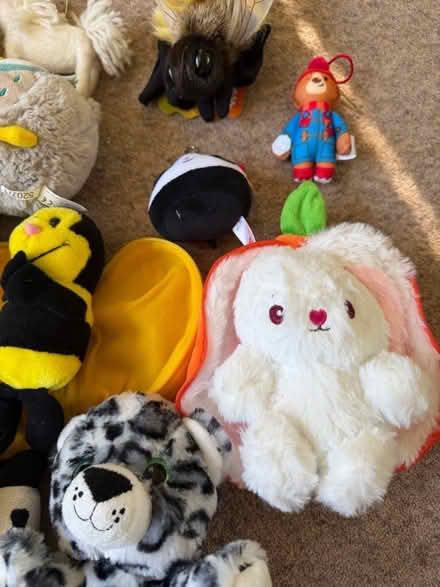 Photo of free Box of stuffed toys (Malvern WR14) #4