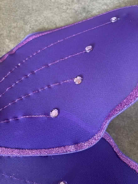Photo of free Purple Butterfly or Fairy Wings (Providence Subdivision, Elgin) #3
