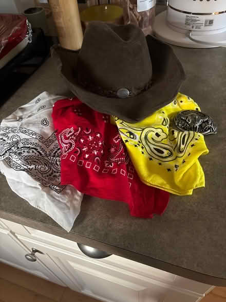 Photo of free Kid’s Cowboy Halloween Costume (Providence Subdivision, Elgin) #1