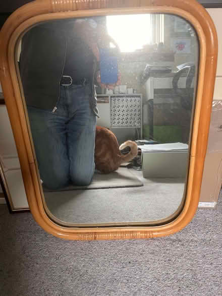 Photo of free Mirror (57cm long x 44cm wide) (cat not included) (Torbrex FK7) #1