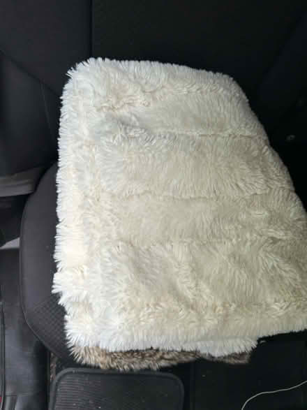 Photo of free Furry cushions and blankets (Herne Hill, SE24) #3