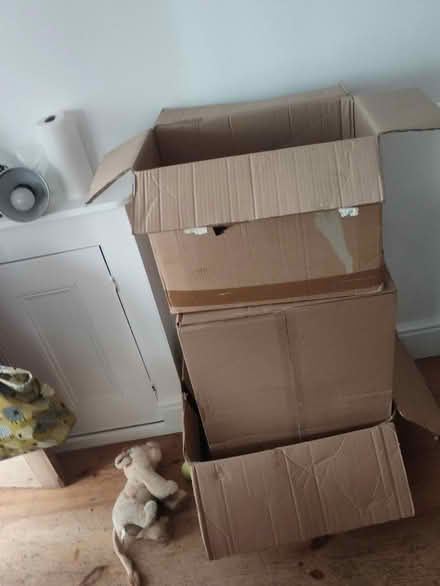 Photo of free Moving boxes, bubble wrap, etc (N17, Tottenham) #1