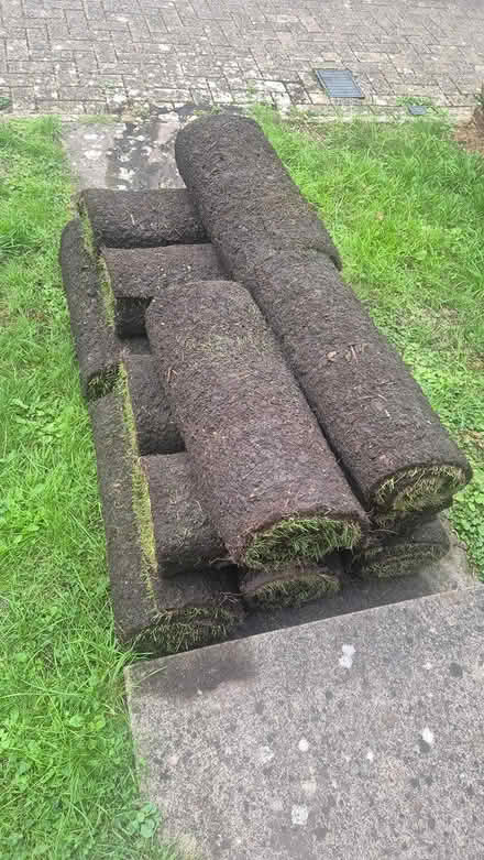 Photo of free Turf (Harlow CM19) #1