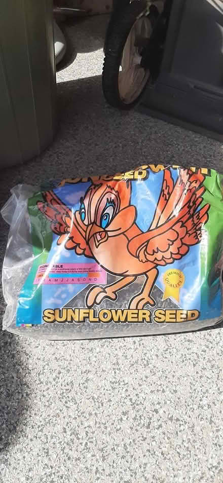 Photo of free Bird seeds (Hiawatha Park) #1