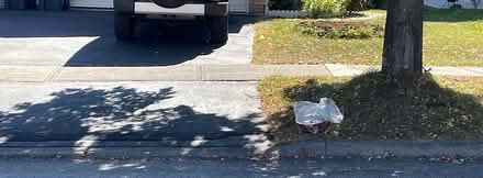 Photo of free Curb-popcorn maker-403/Dundas (l5b) #1