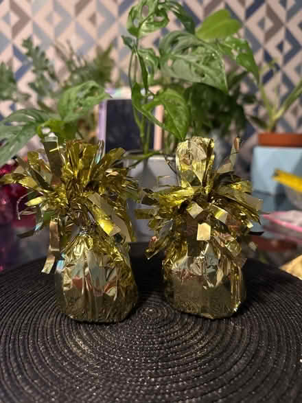 Photo of free Balloon weights (Queens Park MK40) #1
