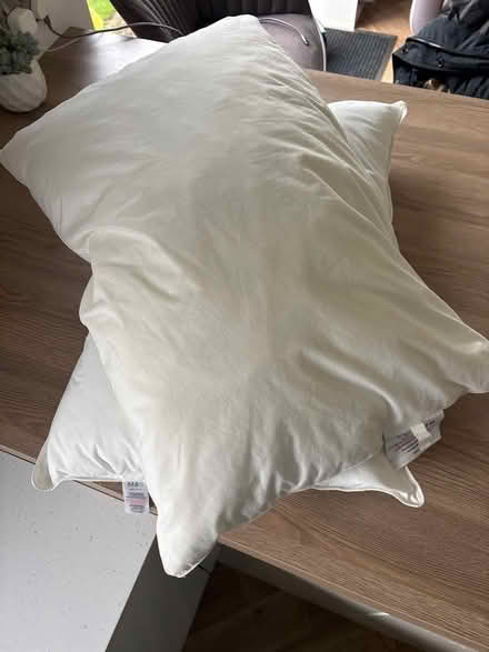 Photo of free Old pillows (Oxenholme LA9) #1