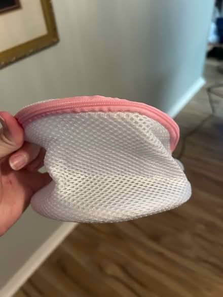 Photo of free Bra bag for washing machine (x2) (Newington Forest) #1