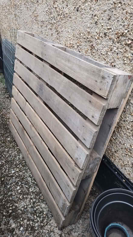 Photo of free Wooden pallet (Chislehurst BR7) #1