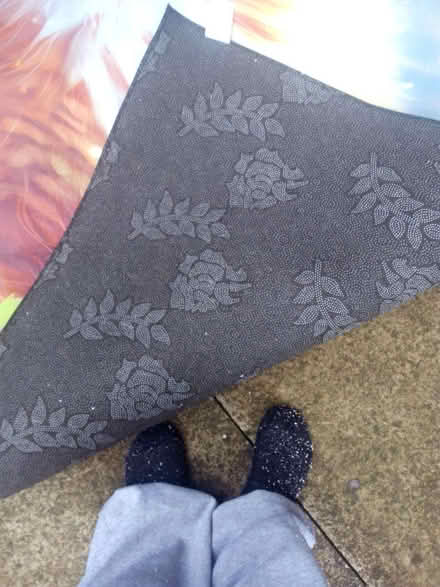 Photo of free Cat colourful rug (Ashhill walk Bd47jf) #3