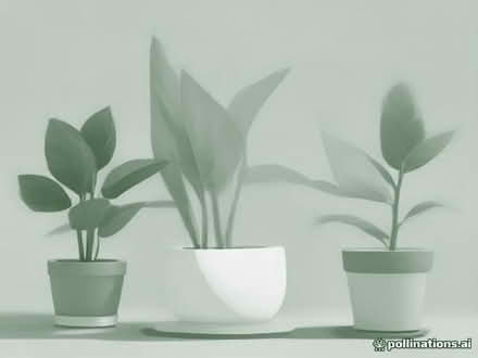 Photo of plants and pots for new uni room (Norham Manor OX2) #1