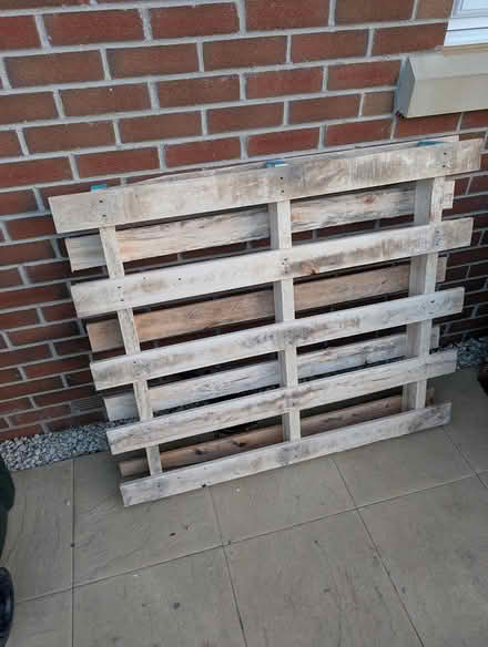 Photo of free Wood palette (Dinnington, S25) #1