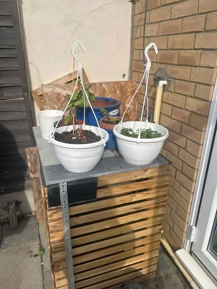 Photo of free Two white hanging baskets (Erith DA8) #1