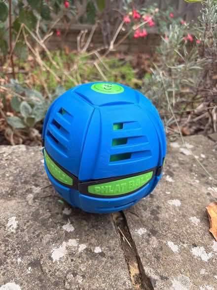 Photo of free ⚽ Phlat ball (Richmond TW9) #1