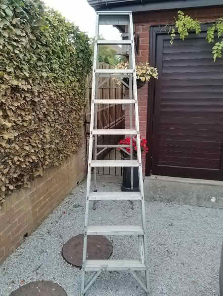 Photo of free Aluminium steps. (Ecclesall S11) #1